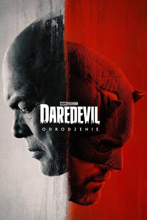 Plakat serialu: Daredevil i Daredevil: Odrodzenie